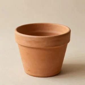 Terracotta Planter
