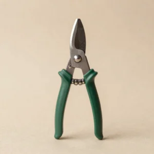 Everyday Pruning Snips